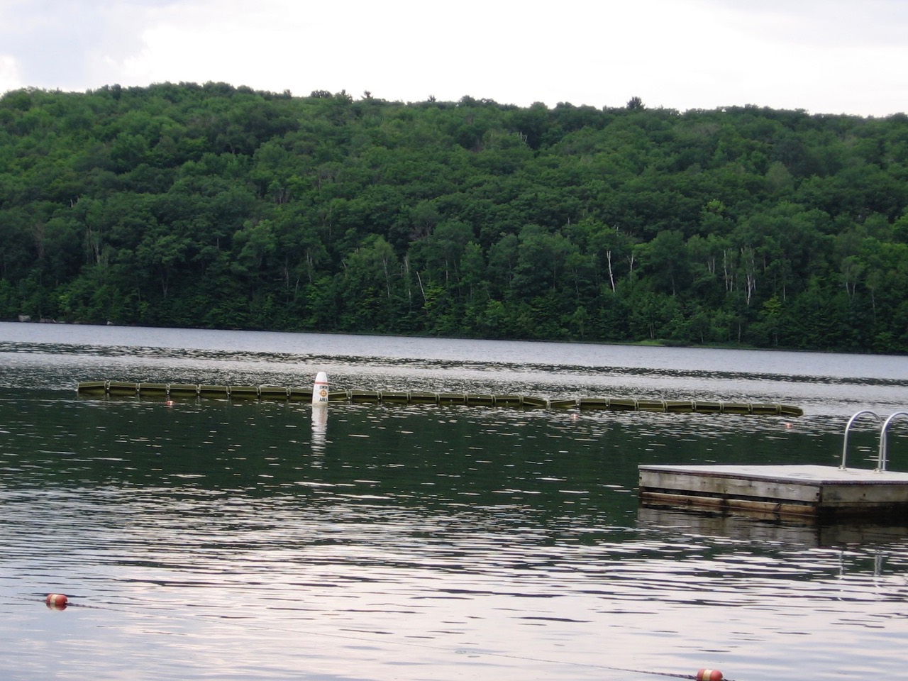 Model 1224, swim area. Used where the clients wanted it to blend with the ecology.